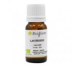 Laurier noble (Laurus nobilis)